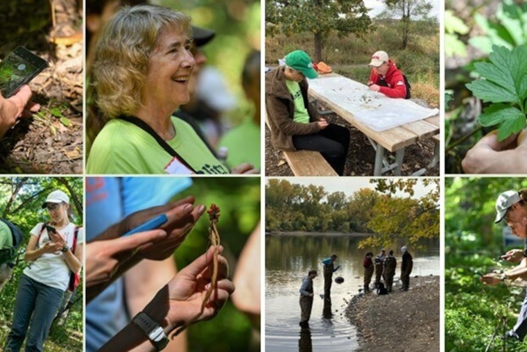 Minneapolis Invites Residents to Join Family-Friendly Fall BioBlitz Events for Biodiversity Exploration