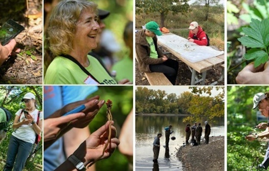 Minneapolis Invites Residents to Join Family-Friendly Fall BioBlitz Events for Biodiversity Exploration