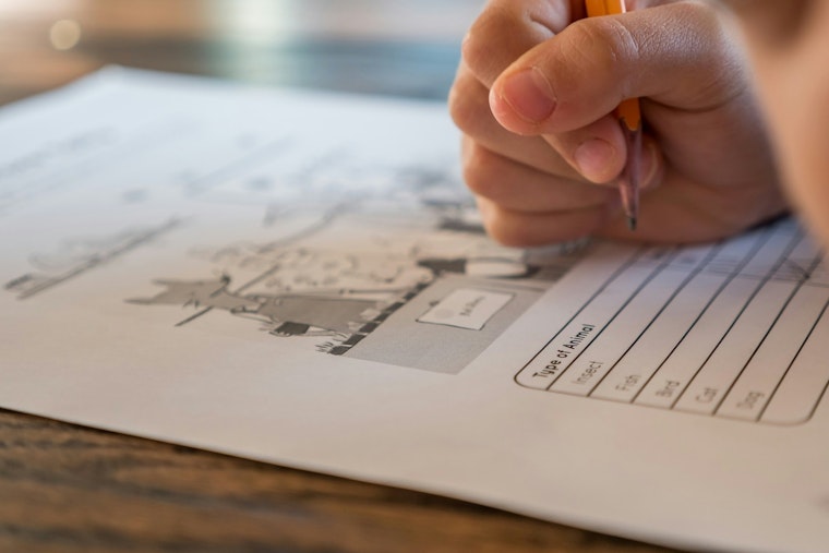 Minnesota to Implement New Standards for Developmental Intervention Providers; Homeschooling Restrictions Announced