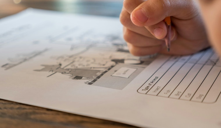 Minnesota to Implement New Standards for Developmental Intervention Providers; Homeschooling Restrictions Announced
