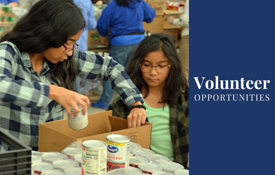 Mission Arlington Mobilizes Volunteers for Thanksgiving Meal Giveaway to Over 7,000 Families