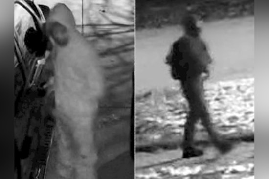 Monroe Police Seek Public's Help Following Rash of Vehicle Break-Ins