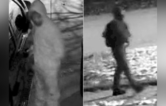 Monroe Police Seek Public's Help Following Rash of Vehicle Break-Ins