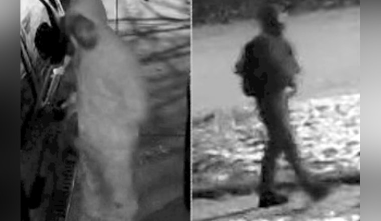 Monroe Police Seek Public's Help Following Rash of Vehicle Break-Ins