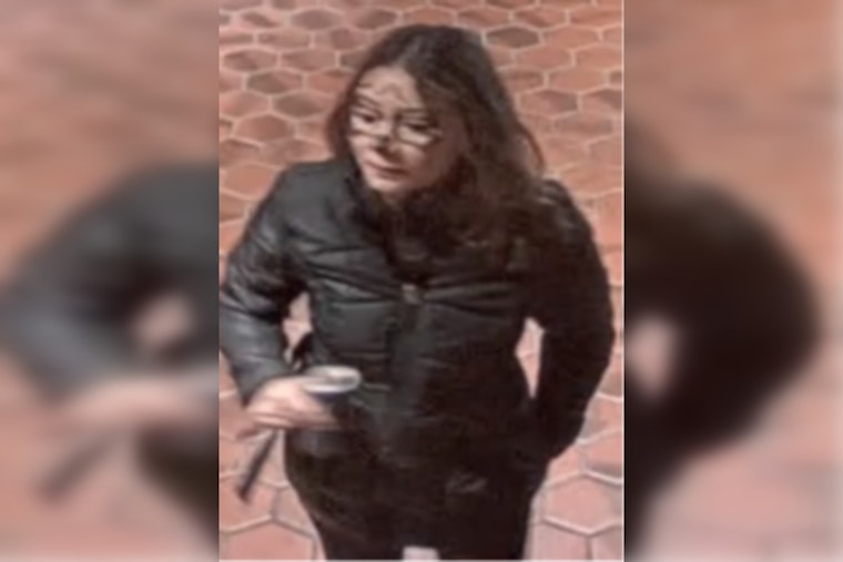 MPD Seeks Public Assistance in Identifying Suspect in Halloween Weekend Assault at D.C. Metro Station