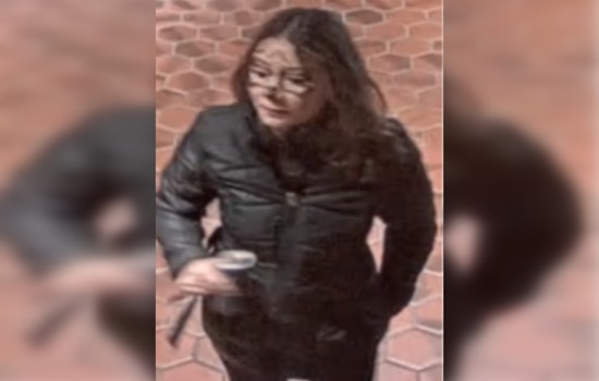 MPD Seeks Public Assistance in Identifying Suspect in Halloween Weekend Assault at D.C. Metro Station