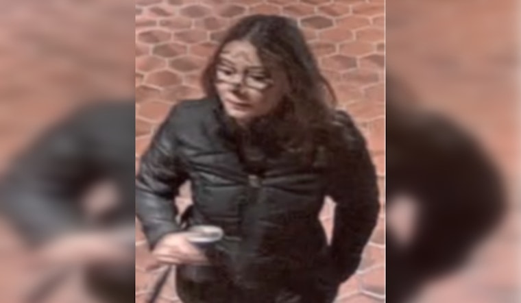 MPD Seeks Public Assistance in Identifying Suspect in Halloween Weekend Assault at D.C. Metro Station
