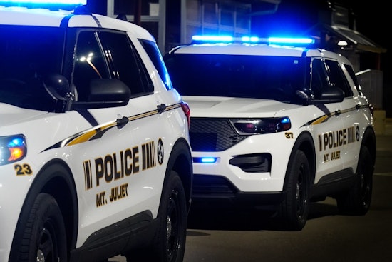 Mt. Juliet Parking Violation Leads to Arrest of Woman Wanted for Felony Theft in Alabama