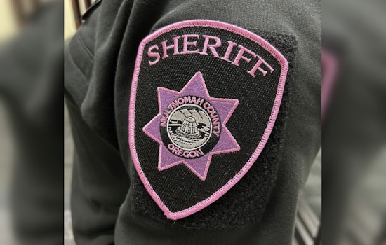 Multnomah County Sheriff's Office Issues Safety Tips for Thanksgiving Holiday as Call Numbers Fluctuate