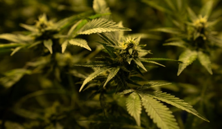 New Federal Spending Bill Provision Tightens Hemp Regulations, Impacts THC Product Sales in Arizona