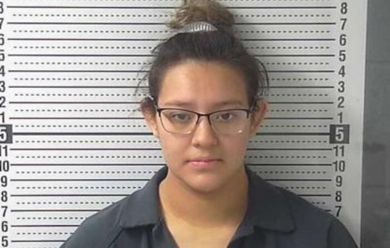 New Mexico Court of Appeals Upholds Conviction of Alexis Avila for Newborn Abandonment in Hobbs