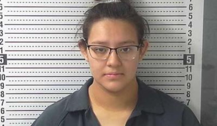 New Mexico Court of Appeals Upholds Conviction of Alexis Avila for Newborn Abandonment in Hobbs