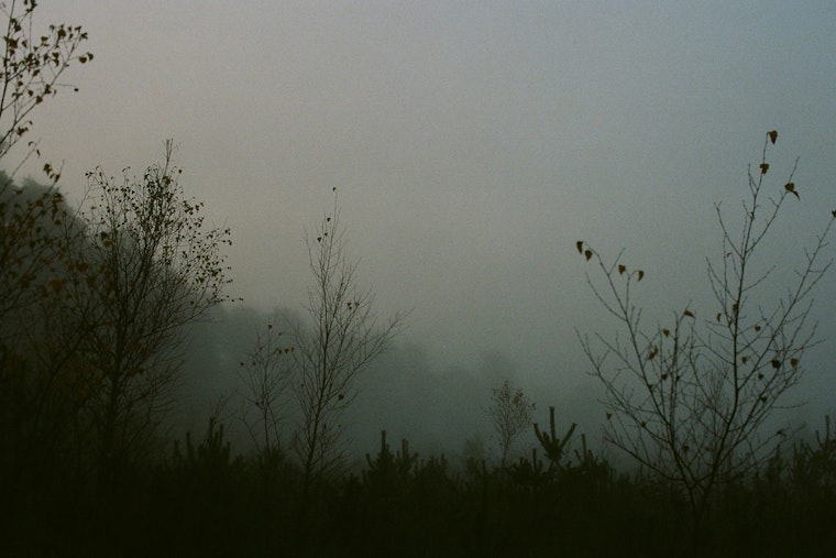 New Orleans and Southern Mississippi Under Dense Fog Advisory, Visibility Drop Poses Hazardous Driving Conditions