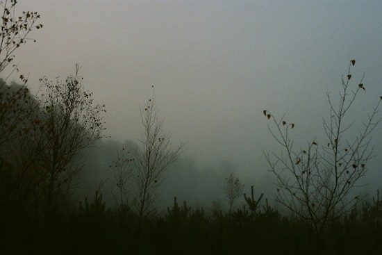 New Orleans and Southern Mississippi Under Dense Fog Advisory, Visibility Drop Poses Hazardous Driving Conditions