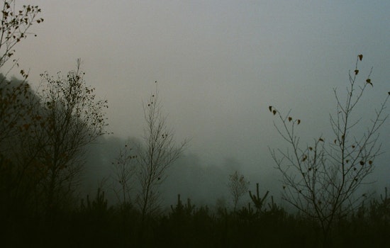 New Orleans and Southern Mississippi Under Dense Fog Advisory, Visibility Drop Poses Hazardous Driving Conditions