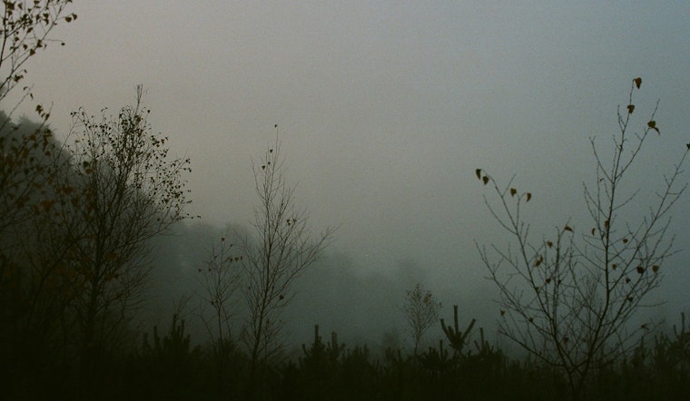 New Orleans and Southern Mississippi Under Dense Fog Advisory, Visibility Drop Poses Hazardous Driving Conditions