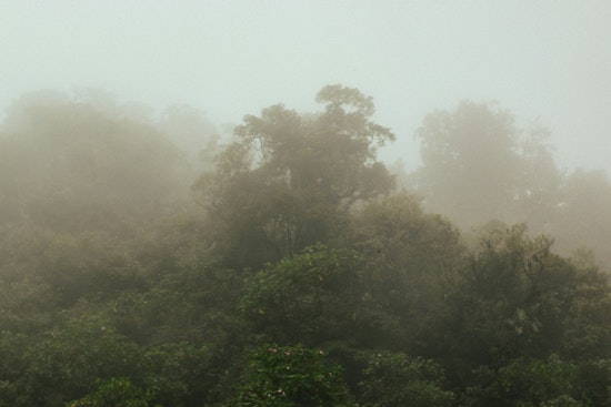 New Orleans Hit by Dense Fog Advisory, Visibility Drops as Residents Brace for Clearing Skies and Warmer Days Ahead