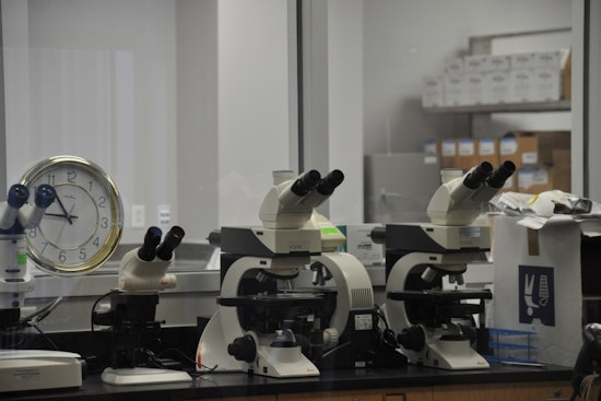 New Orleans Police Department Crime Lab Attains Full Accreditation and Restores Serology Services Post-Katrina