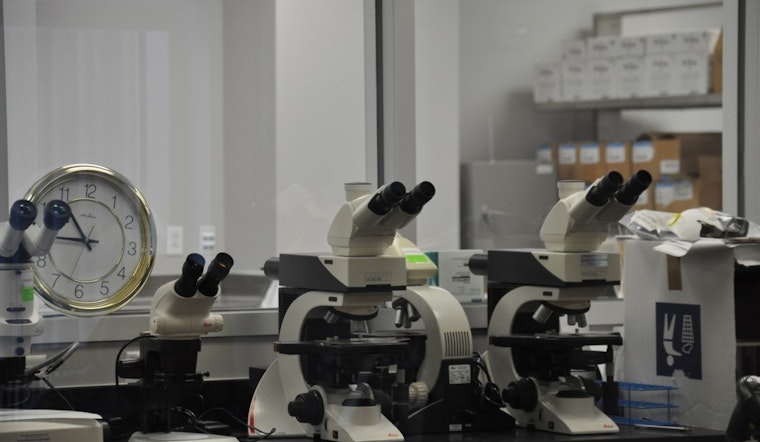 New Orleans Police Department Crime Lab Attains Full Accreditation and Restores Serology Services Post-Katrina