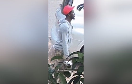 New Orleans Police Seek Public Help to Identify Person of Interest in November Armed Robbery on Pearl Street