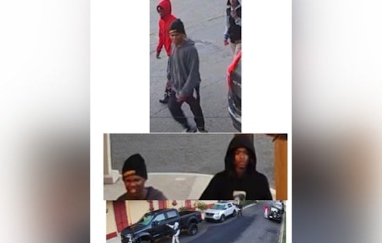 New Orleans Police Seek Public's Help to Identify Suspects in Algiers Vehicle Burglary Case