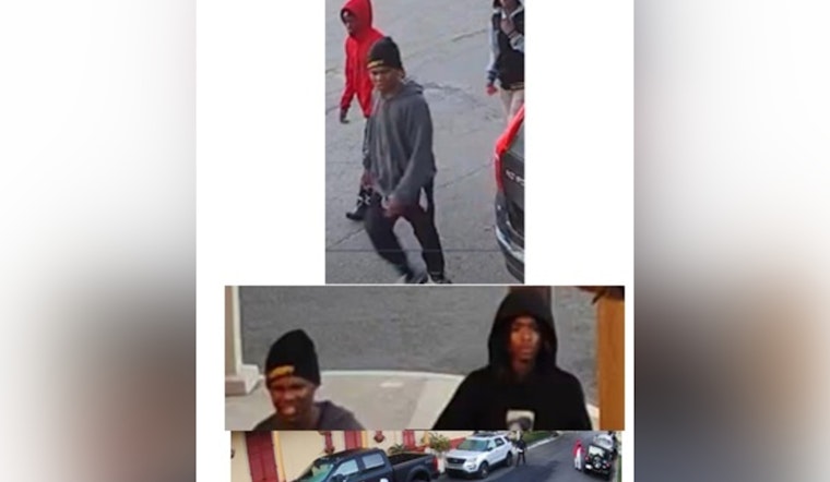 New Orleans Police Seek Public's Help to Identify Suspects in Algiers Vehicle Burglary Case