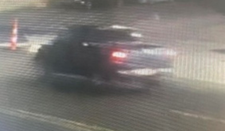 New Orleans Police Seek Public's Help to Locate Vehicle in Fatal Hit-and-Run on General Meyer Avenue