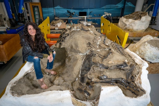 New Tyrannosaur Species Nanotyrannus Discovered in North Carolina, Challenging Long-Held Dinosaur Beliefs