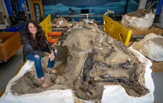 New Tyrannosaur Species Nanotyrannus Discovered in North Carolina, Challenging Long-Held Dinosaur Beliefs