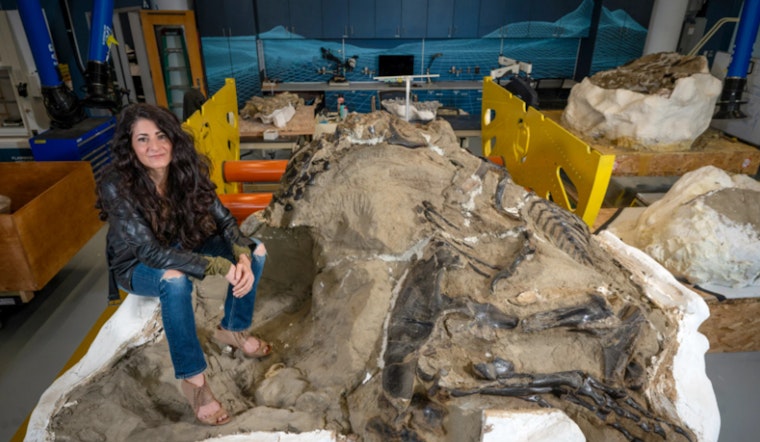 New Tyrannosaur Species Nanotyrannus Discovered in North Carolina, Challenging Long-Held Dinosaur Beliefs