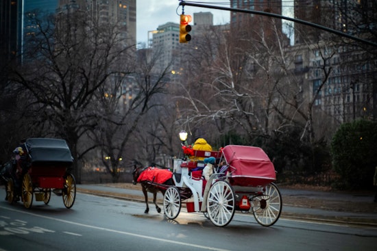 New York City Council Faces Heated Debate and Legal Challenges Over Potential Ban on Horse-Drawn Carriages