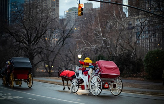 New York City Council Faces Heated Debate and Legal Challenges Over Potential Ban on Horse-Drawn Carriages