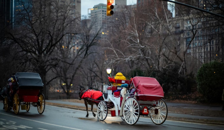 New York City Council Faces Heated Debate and Legal Challenges Over Potential Ban on Horse-Drawn Carriages