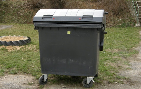 New York City Council Passes Landmark "RAT" Act, Mandating On-Street Bins to Tackle Rat Problem and Advance Waste Management