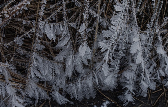 New Yorkers Brace for Weather Whiplash as Freeze Warning and Gale Alerts Hit Five Boroughs