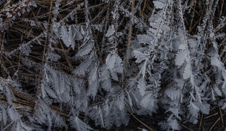 New Yorkers Brace for Weather Whiplash as Freeze Warning and Gale Alerts Hit Five Boroughs