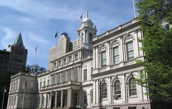 New Yorkers Head to the Polls for Mayoral Election and Key City Positions Amid High Voter Turnout