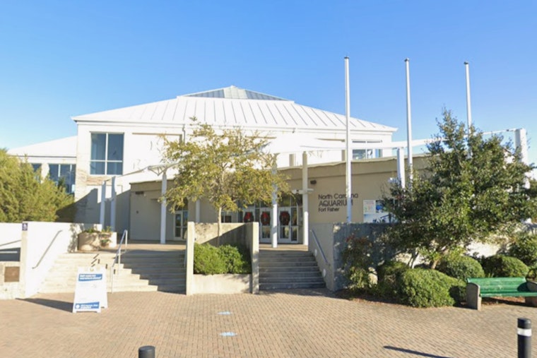 North Carolina Aquarium at Fort Fisher to Close for Major Overhaul in Early 2026
