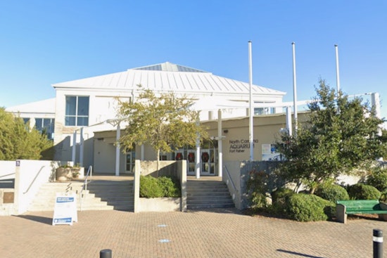 North Carolina Aquarium at Fort Fisher to Close for Major Overhaul in Early 2026