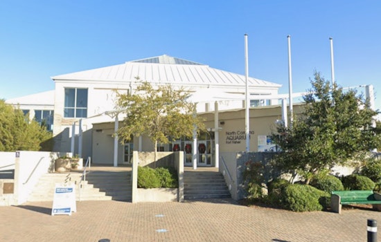North Carolina Aquarium at Fort Fisher to Close for Major Overhaul in Early 2026