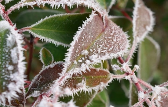 North Georgia Braces for First Big Freeze of the Season as Atlanta Faces Icy Conditions