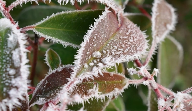 North Georgia Braces for First Big Freeze of the Season as Atlanta Faces Icy Conditions
