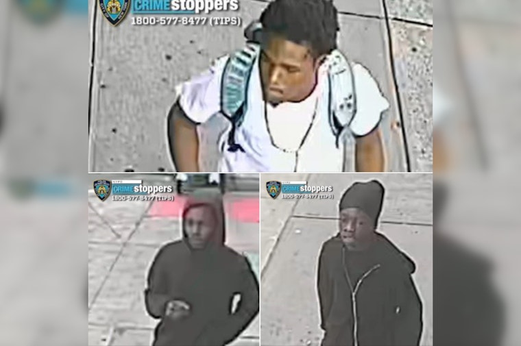 NYPD Seeks Public's Help to Track Down Suspects in Violent Bronx Robbery