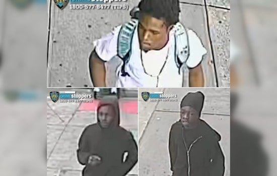 NYPD Seeks Public's Help to Track Down Suspects in Violent Bronx Robbery