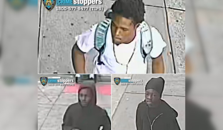 NYPD Seeks Public's Help to Track Down Suspects in Violent Bronx Robbery