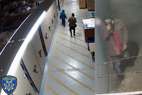 Oakland Museum Heist Suspects Caught on Video; FBI Hunts Hoodie-Wearing Duo Who 'Didn't Even Know What They Were Stealing'