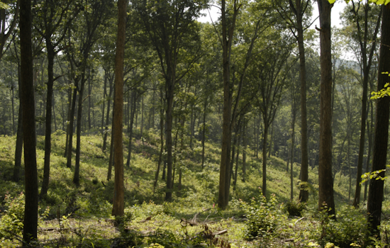 ODNR Announces Seasonal Closure of Horseback Riding and APV Trails in Ohio State Forests to Protect Land
