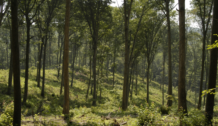 ODNR Announces Seasonal Closure of Horseback Riding and APV Trails in Ohio State Forests to Protect Land