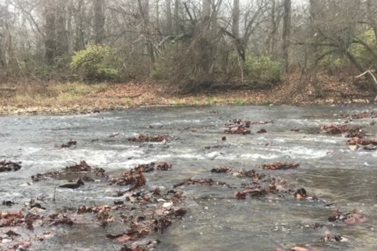 Ohio's Stillwater River Flows Free Once More: Covington Dam Removed in H2Ohio Initiative Triumph
