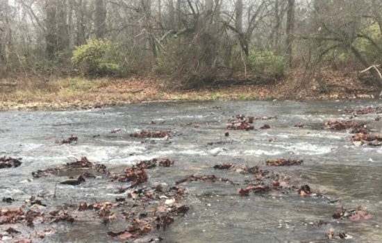 Ohio's Stillwater River Flows Free Once More: Covington Dam Removed in H2Ohio Initiative Triumph